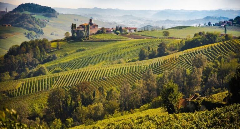 langhe monferrato