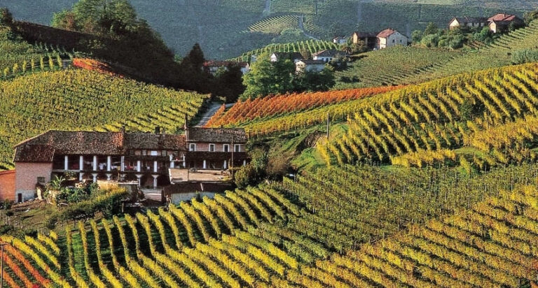 langhe